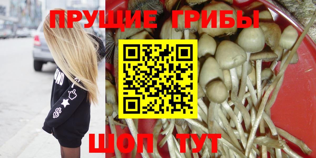 Галлюциногенные грибы Cubensis  Псилоцибиновые грибы ЛСД  Вход с VPN  Архангельск 