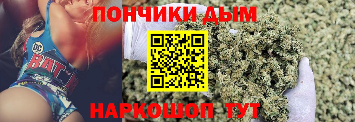 Бошки Шишки Amnesia Архангельск